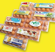 EGG STORY PASTEURIZED EGG PRODUCTS