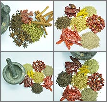 SPICES